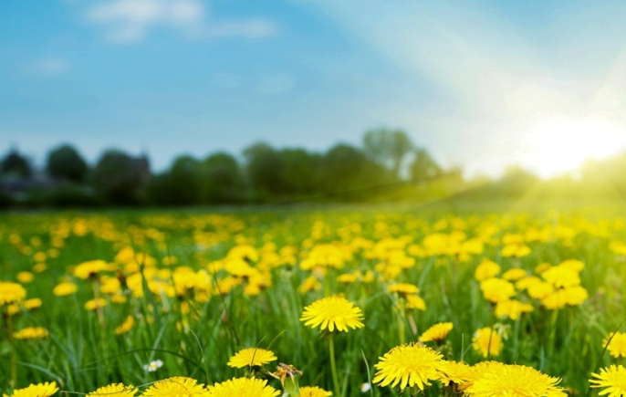 Sustainability is another current and future focus for the international travel community The outlook is sunny