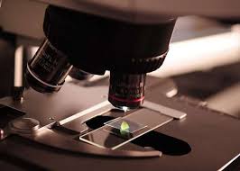 Reimagining Ghana’s National Health Laboratory Governance: From implementation gaps to structural modernisation