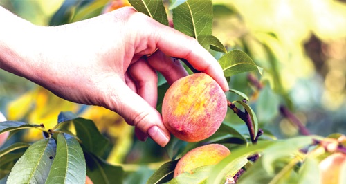 It has not always been like this