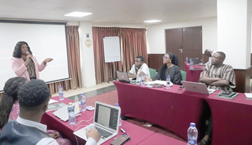 Felicia Anthonio (standing), Campaign Manager, Access Now, explaining a point to participants in the workshop. Picture: EDNA SALVO-KOTEY Felicia Anthonio (standing), Campaign Manager, Access Now, explaining a point to participants in the workshop. Picture: EDNA SALVO-KOTEY