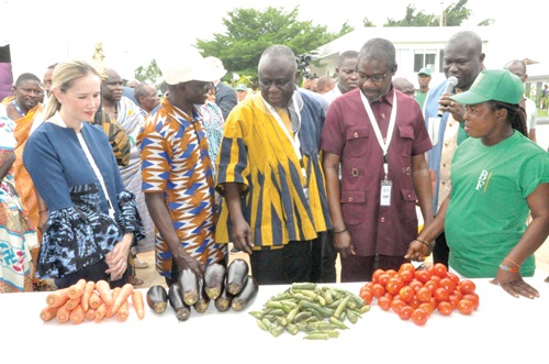Daniela, d’Orlandi (left), Italian Ambassador, Yaw Frimpong Addo (middle) and Osborne Fenu (2nd from right), North Tongu DCE, inspecting some farm produce at one of the stands during the exhibition Daniela, d’Orlandi (left), Italian Ambassador, Yaw Frimpong Addo (middle) and Osborne Fenu (2nd from right), North Tongu DCE, inspecting some farm produce at one of the stands during the exhibition