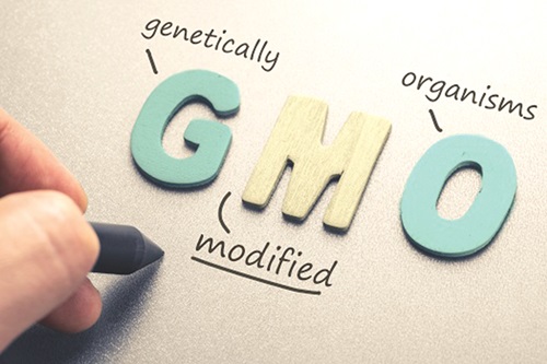 More sensitisation needed on GMO crops