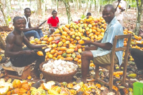 Cocoa farmers to benefit from the GH¢942m COCOBOD investment