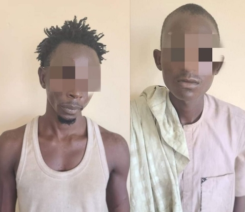 Two suspects arrested for stealing Kano police station sign post Two suspects arrested for stealing Kano police station sign post