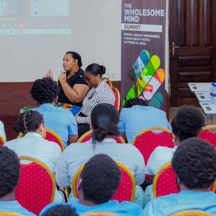 Wholesome Mind Summit 2024 to tackle mental health challenges in Ghana Wholesome Mind Summit 2024 to tackle mental health challenges in Ghana