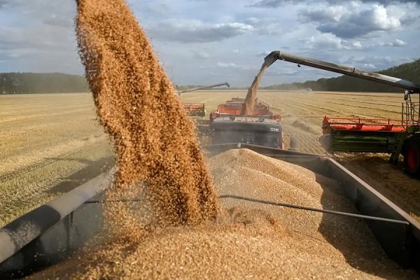 Ghana stands to lose in ban on grain export - Security analyst Ghana stands to lose in ban on grain export - Security analyst