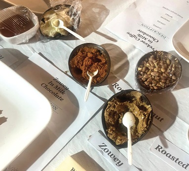 Samples of the Bioko Chocolate Samples of the Bioko Chocolate