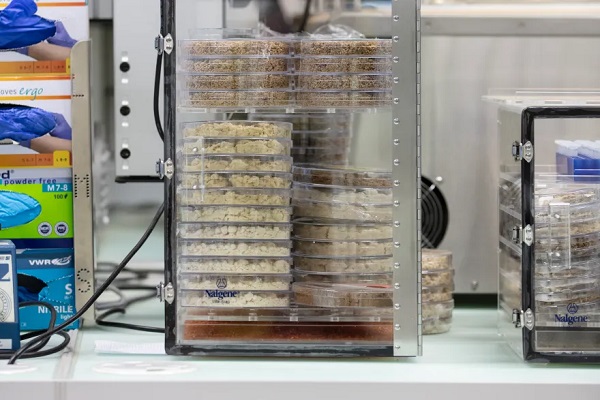Food Brewer aims to revolutionise cocoa and coffee production. Thomas Kern / Swissinfo.ch Food Brewer aims to revolutionise cocoa and coffee production. Thomas Kern / Swissinfo.ch