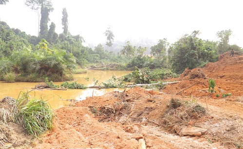 A portion of the Danyau Forest reserve lot 3 before reclamation. Picture: ELVIS NII NOI DOWUONA A portion of the Danyau Forest reserve lot 3 before reclamation. Picture: ELVIS NII NOI DOWUONA