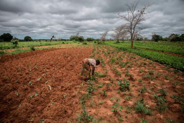Zambia has been experiencing poor rain across the country Zambia declares national emergency over drought