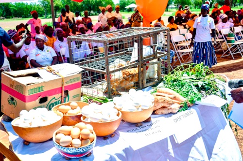 A project closure at the Kassena West District in the Upper East Region A project closure at the Kassena West District in the Upper East Region