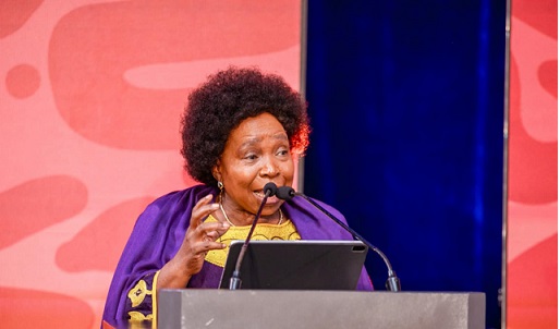 Dlamini-Zuma Dlamini-Zuma: Use the abundant resources to develop Africa
