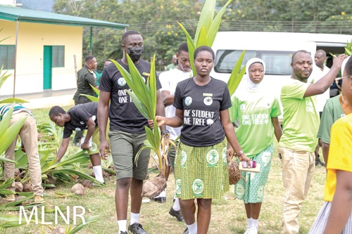Some students planting trees at the Abuakwa State College at Kyebi Some students planting trees at the Abuakwa State College at Kyebi