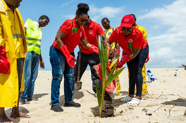 Absa Bank commits to sustainability — Partners Ecozoil to plant 200 coconut trees at Bortianor Beach