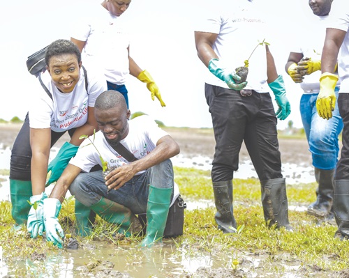 Staff of Prudential Life Insurance Ghana planting mangrove seedlings at the Ramsar Site in Ada Foah-Obane