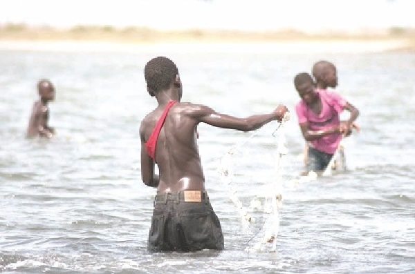 Child labour is still very prevalent in the country. Child labour figures rise — GSS report