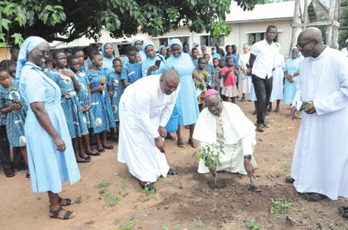 Most Rev. Emmanuel Kofi Fianu, Catholic Bishop of Ho, planting a tree at Sokode-Gbogame after the route march by the Rev. Sisters