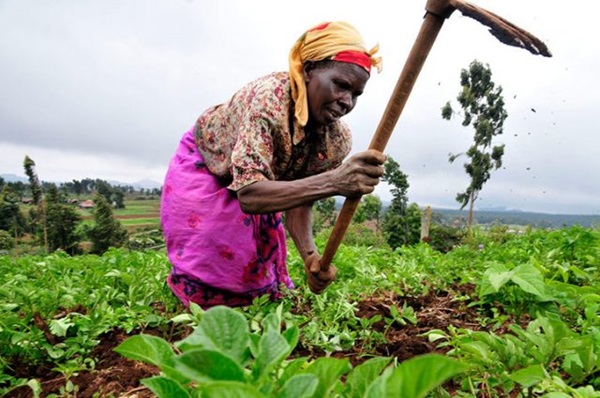 Enhancing agriculture sufficiency;  sector must be weaned off donor support 