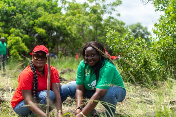 Telecel plants over 5000 Trees in massive reforestation effort