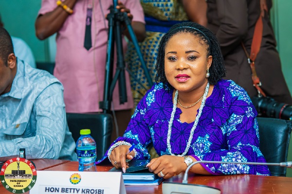 Nana Efua Krosbi Mensah, Member of Parliament for Afram Plains North Nana Efua Krosbi Mensah, Member of Parliament for Afram Plains North