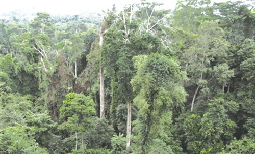 Ghana to host youth conference on natural resources, environmental governance