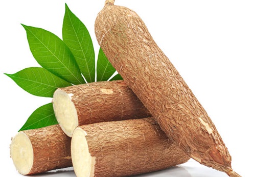 Cassava is a good source of vitamin C, thiamine, riboflavin and niacin Cassava is a good source of vitamin C, thiamine, riboflavin and niacin