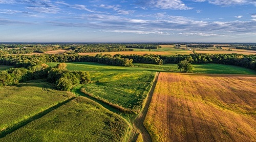 Who is the rightful owner of the land?