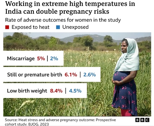 Working in extreme heat can double stillbirth risk - Study Working in extreme heat can double stillbirth risk - Study