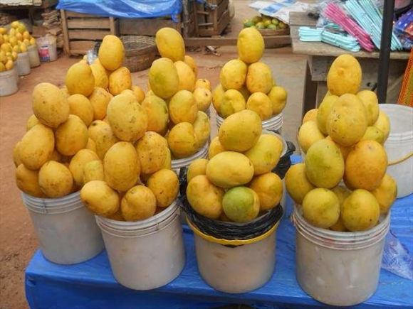 TCDA sets minimum producer price for fresh mango at GH¢4.82 per kilogramme for 2025 major season