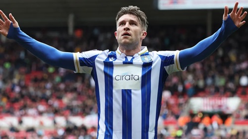 Sheffield Wednesday have asked supporters not to buy counterfeit shirts Sheffield Wednesday have asked supporters not to buy counterfeit shirts
