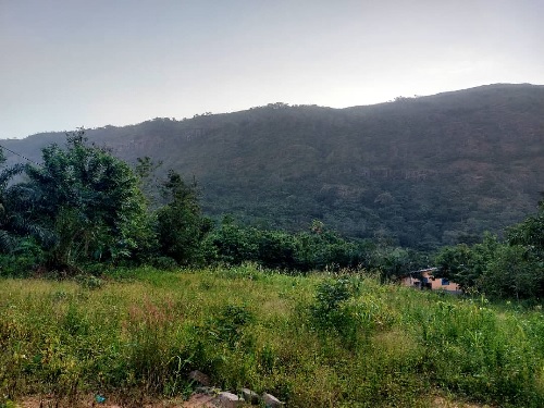 The Likpe Mountains which form part of the Akwapim-Togo Ranges along the eastern border lies in the constituency