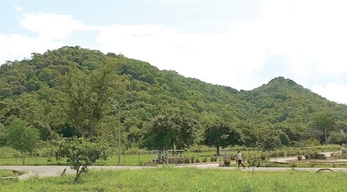  The lushness of the Banda Ahenkro mountains is not lost on a visitor to the community 
