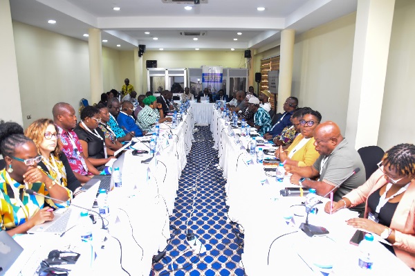 Participants at the West African fisheries conference 
