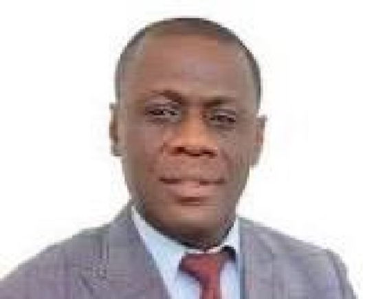 The writer 24-Hour economy or digital economy in 2024 elections: A Panacea to economic turbulence or a Ccase of two lemons?