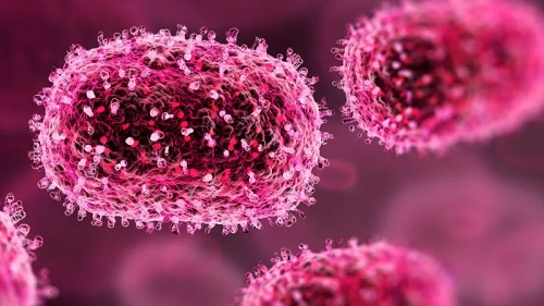 Morocco confirms first mpox case in current outbreak Morocco confirms first mpox case in current outbreak