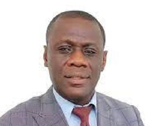 The writer Reimagining Ghana's economic future: A precursor to post-2024 elections