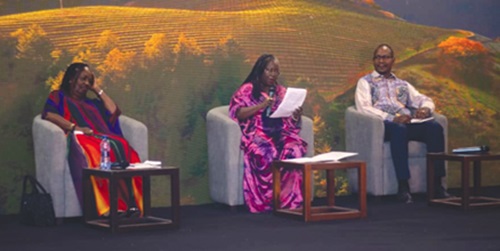 Prof. Takyiwaa Manuh (left), Senior fellow, CDD-Ghana, Dr Audrey Gadzeķpo (middle) and Abdoul Karim Saidou, Associate Professor at Thomas Sankara University, Burkina Faso Prof. Takyiwaa Manuh (left), Senior fellow, CDD-Ghana, Dr Audrey Gadzeķpo (middle) and Abdoul Karim Saidou, Associate Professor at Thomas Sankara University, Burkina Faso