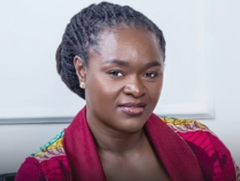 Prof. Nana Ama Browne Klutse — Acting CEO, EPA Prof. Nana Ama Browne Klutse — Acting CEO, EPA