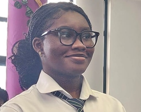 Alexis Aseda Baffour - The writer Alexis Aseda Baffour - The writer