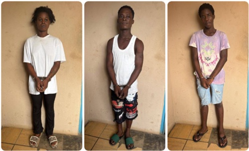 Three young armed robbers jailed over iPhone 6s theft in Ho Three young armed robbers jailed over iPhone 6s theft in Ho