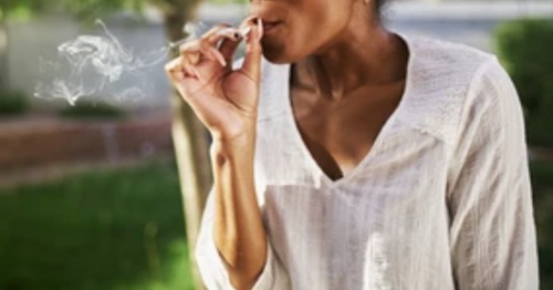 https://graphiconline.com/images/2025/apr/25/marijuana25.jpg#joomlaImage://local-https://graphiconline.com/images/2025/apr/25/marijuana25.jpg?width=500&height=262 https://graphiconline.com/images/2025/apr/25/marijuana25.jpg#joomlaImage://local-https://graphiconline.com/images/2025/apr/25/marijuana25.jpg?width=500&height=262