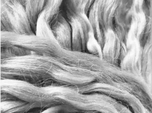 Ladies going in for plantain fibre hair More ladies now go for plantain fibre hair, as cost of human hair rises