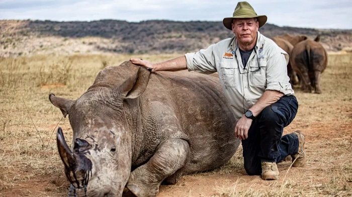 Professor James Larkin, pictured with a rhino that had just been injected, says the process is completely safe Professor James Larkin, pictured with a rhino that had just been injected, says the process is completely safe