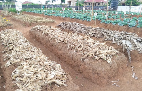 A portion of the Duayaw Nkwanta learning site