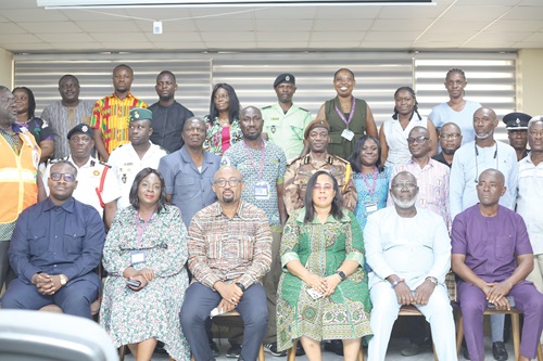 Linda Obenewaa Ocloo (3rd right), Greater Accra Regional Minister, with stakeholders after the workshop.  Picture: BENEDICT OBUOBI