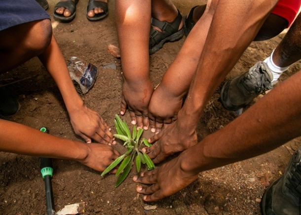 Digging deep and planting hope: How eco-schools Ghana brought global action days campaign 2025 to life 