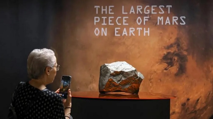 The Martian meteorite found in Niger went on display in New York before it was auctioned