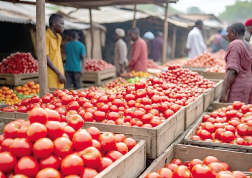 Gov’t moves to resolve Burkina Faso tomato export ban through talks