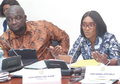 Abena Osei-Asare (right), Chairperson, PAC, speaking during the sitting. With her is Davis Opoku Ansah, Vice-Chairperson, PAC. Picture: ELVIS NII NOI DOWUONA Abena Osei-Asare (right), Chairperson, PAC, speaking during the sitting. With her is Davis Opoku Ansah, Vice-Chairperson, PAC. Picture: ELVIS NII NOI DOWUONA