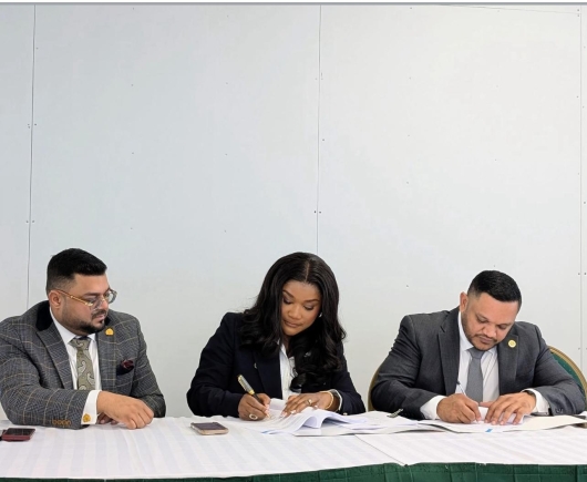 Cybele Energy wins oil block in Guyana